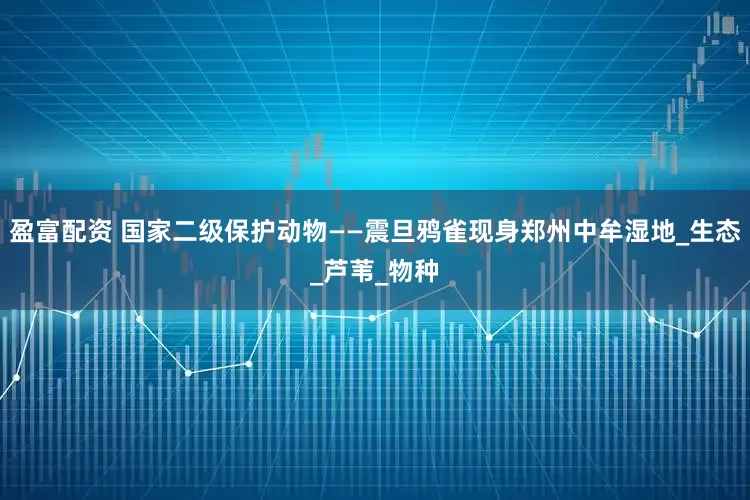 盈富配资 国家二级保护动物——震旦鸦雀现身郑州中牟湿地_生态_芦苇_物种