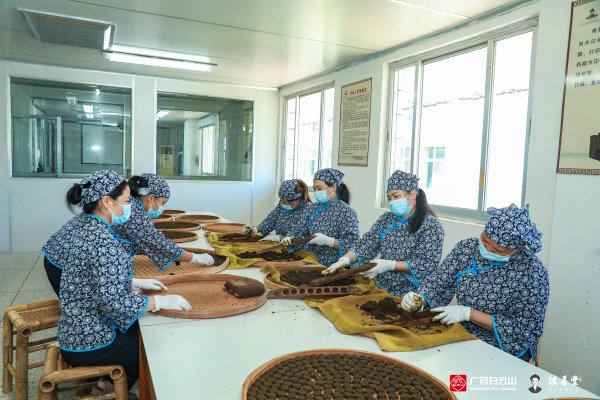 盈鑫惠 业绩承压之下，中药企如何跑出低潮期？